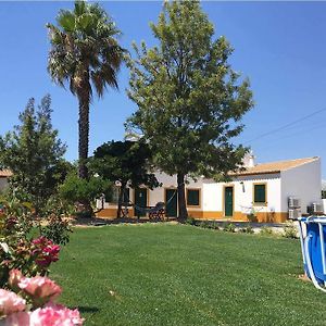 Apartamentos Cardo